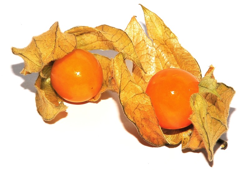 Physalis - smaczny owoc z Kolumbii