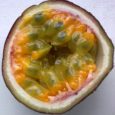 Passion Fruit - marakuja