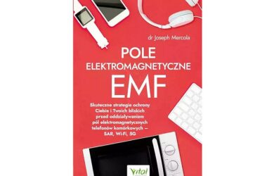 Pole elektromagnetyczne