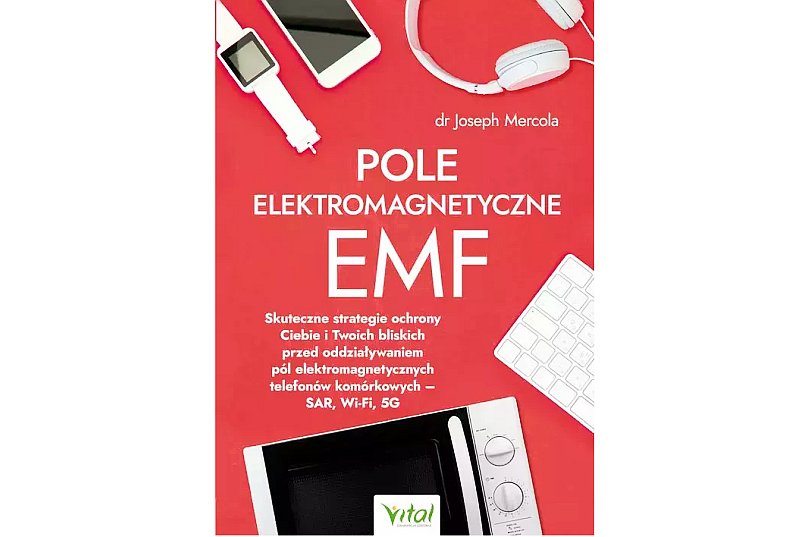 Pole elektromagnetyczne 